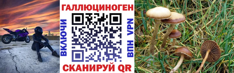 omg сайт  Рыльск  Псилоцибиновые грибы мухоморы 